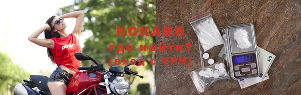 гидра Вязьма