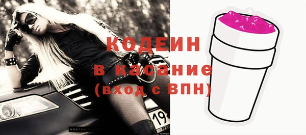PSILOCYBIN Вяземский