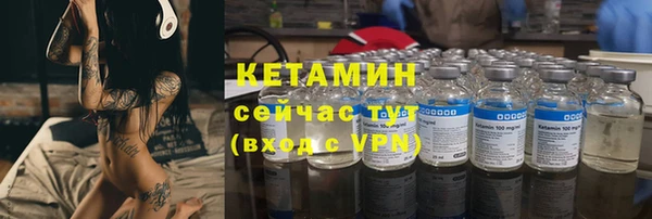 гидра Вязьма