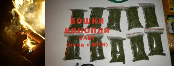 PSILOCYBIN Вяземский