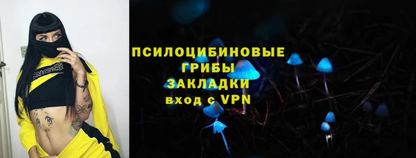 индика Вязники