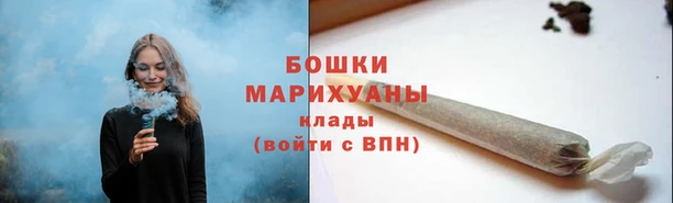 гидра Вязьма