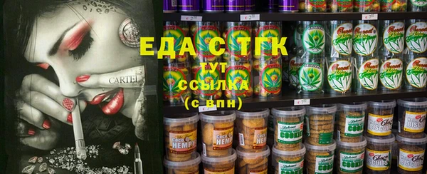 PSILOCYBIN Вяземский