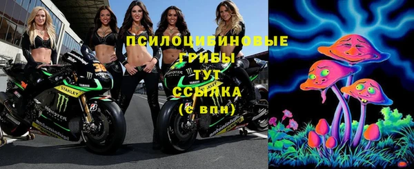 индика Вязники