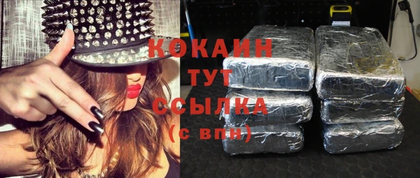 индика Вязники