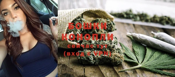 индика Вязники