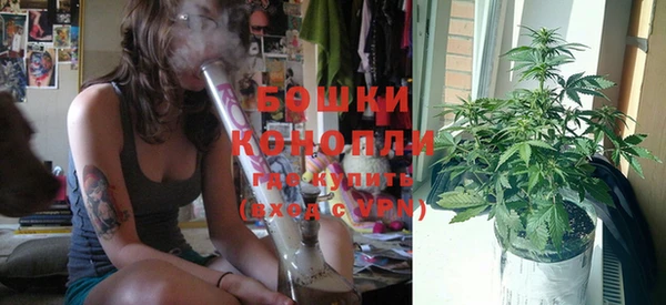 PSILOCYBIN Вяземский