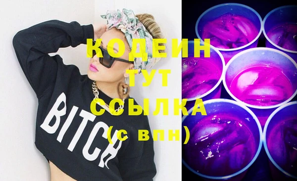 PSILOCYBIN Вяземский