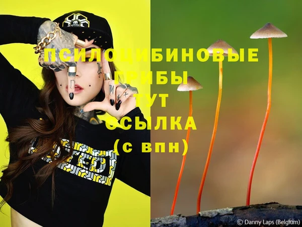 индика Вязники