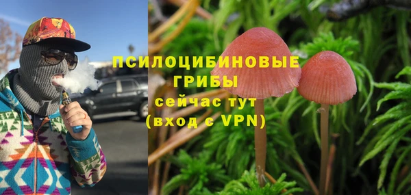 PSILOCYBIN Вяземский