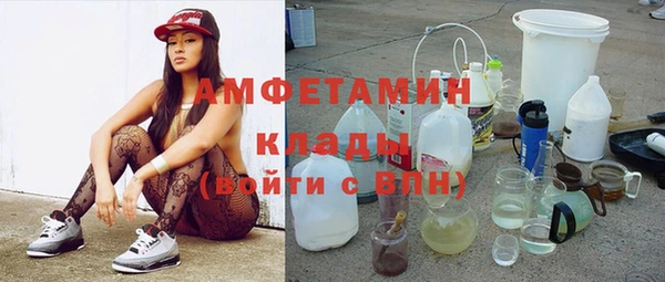 гидра Вязьма