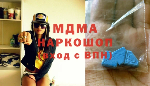 индика Вязники