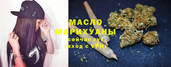 гидра Вязьма
