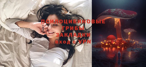 индика Вязники