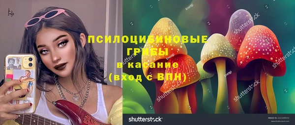 PSILOCYBIN Вяземский