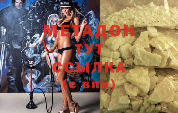 гидра Вязьма
