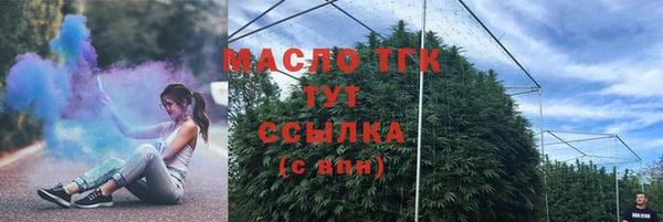 индика Вязники