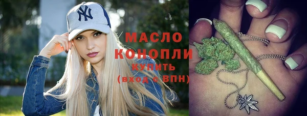 гидра Вязьма