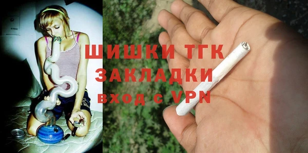 гидра Вязьма