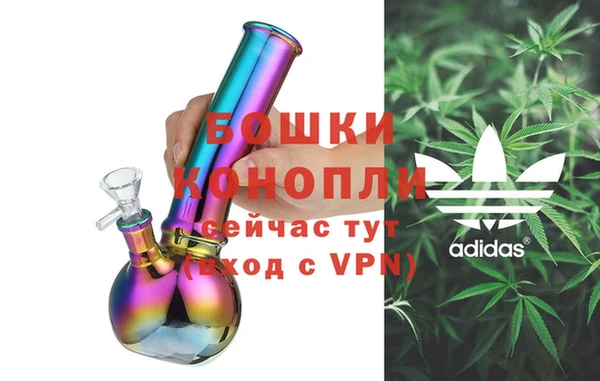 индика Вязники