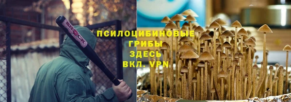 гидра Вязьма