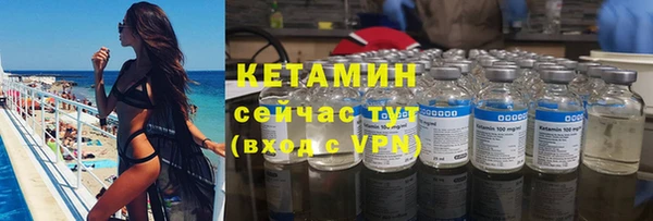PSILOCYBIN Вяземский